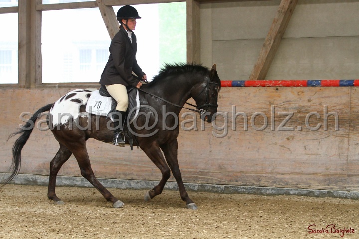 29-ApHC OHUS_024.jpg